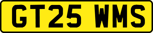 GT25WMS