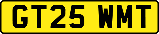 GT25WMT