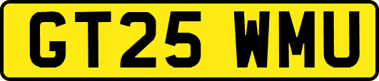 GT25WMU