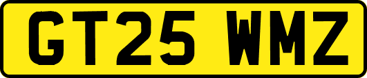 GT25WMZ
