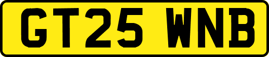 GT25WNB