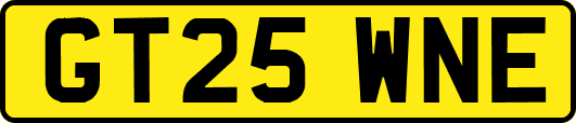 GT25WNE