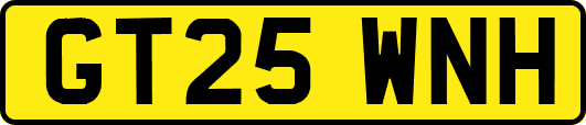 GT25WNH
