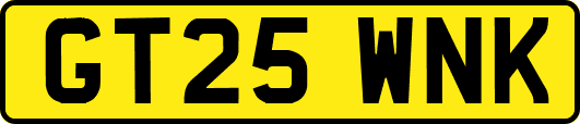GT25WNK