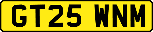 GT25WNM