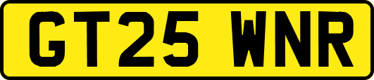 GT25WNR