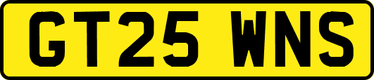 GT25WNS