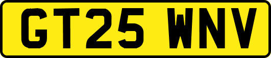 GT25WNV