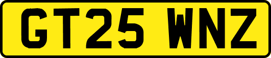GT25WNZ