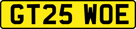 GT25WOE