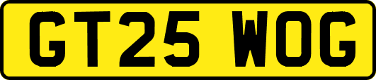 GT25WOG