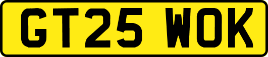 GT25WOK
