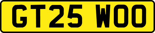 GT25WOO
