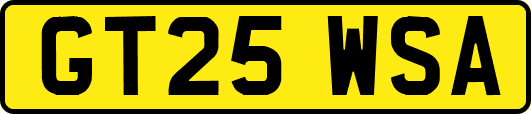 GT25WSA