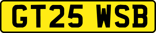 GT25WSB
