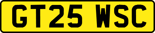GT25WSC