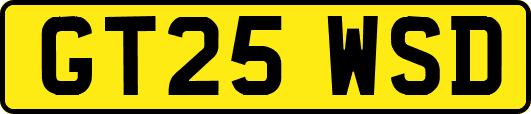 GT25WSD