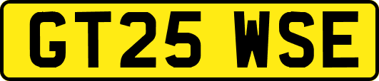 GT25WSE