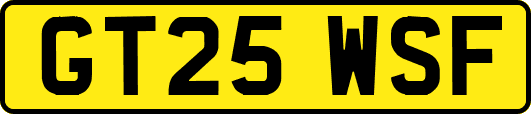 GT25WSF