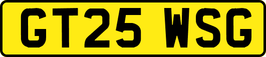GT25WSG