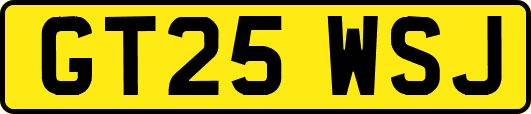 GT25WSJ