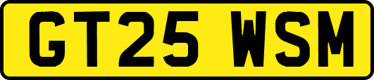 GT25WSM