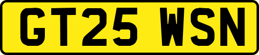 GT25WSN