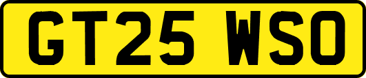 GT25WSO