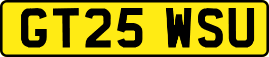GT25WSU