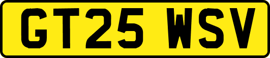 GT25WSV