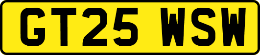 GT25WSW