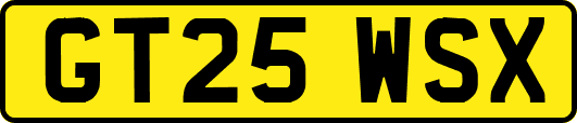 GT25WSX