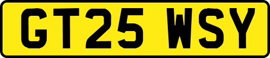 GT25WSY