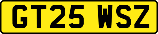 GT25WSZ
