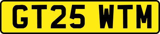 GT25WTM
