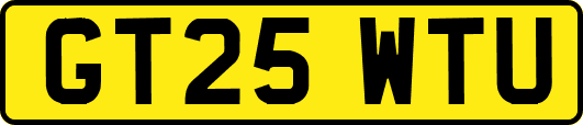 GT25WTU