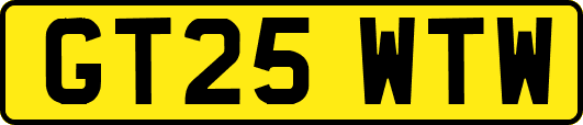 GT25WTW