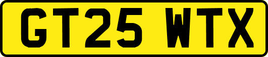 GT25WTX