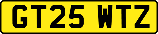 GT25WTZ