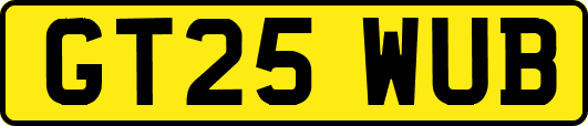 GT25WUB