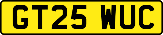 GT25WUC
