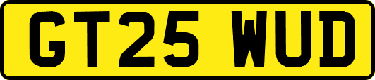 GT25WUD