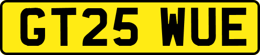 GT25WUE