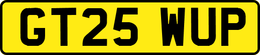 GT25WUP