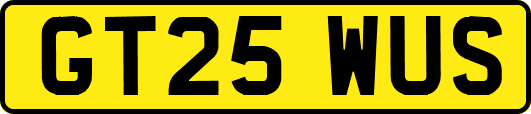 GT25WUS