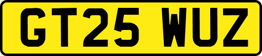 GT25WUZ