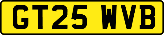 GT25WVB