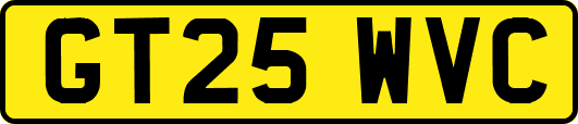 GT25WVC