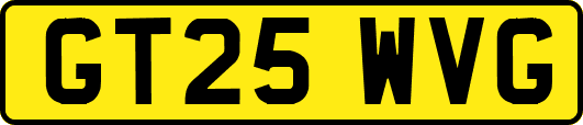 GT25WVG