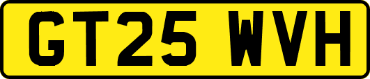 GT25WVH